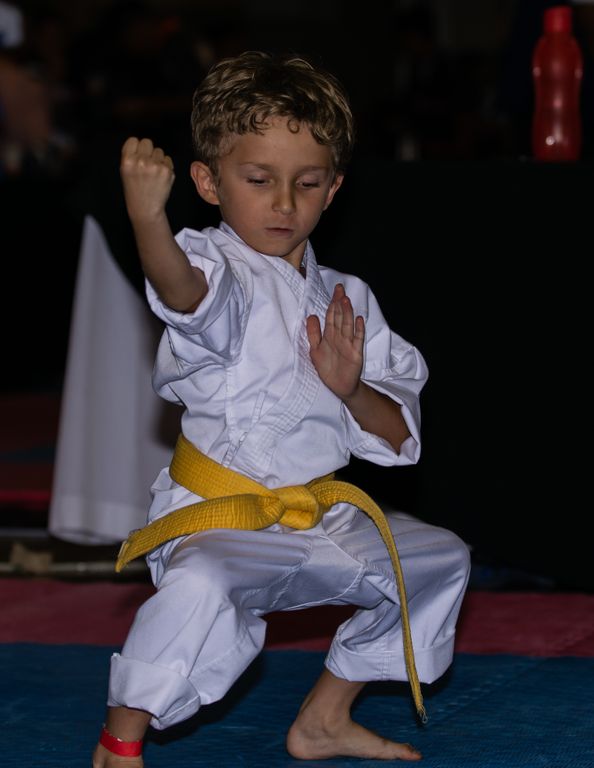 Karate-1987