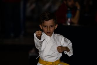 Phillip Karate Fist Color-8